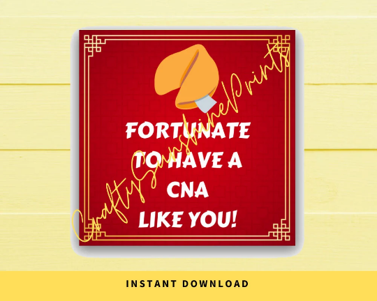 INSTANT DOWNLOAD Fortunate To Have A CNA Like You Square Gift Tags 2.5x2.5