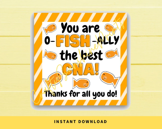 INSTANT DOWNLOAD You Are Ofishally The Best CNA Square Gift Tags 2.5x2.5