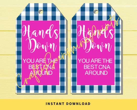 INSTANT DOWNLOAD Hands Down You Are The Best CNA Around Gift Tags