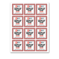 INSTANT DOWNLOAD You're The Best Dad I Ever Saw Square Gift Tags 2.5x2.5