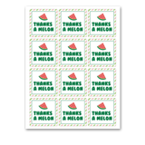 INSTANT DOWNLOAD Thanks A Melon Square Gift Tags 2.5x2.5